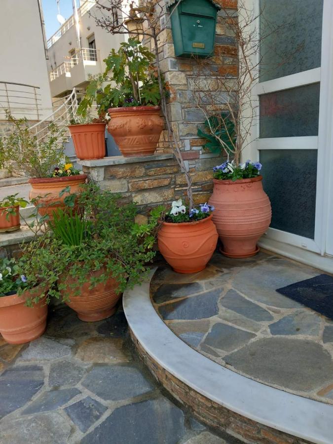 Poly'S Cozy Home Βόλος Εξωτερικό φωτογραφία